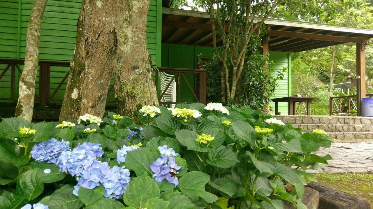 Hemerocallis Country House Nanzhuang Exterior foto